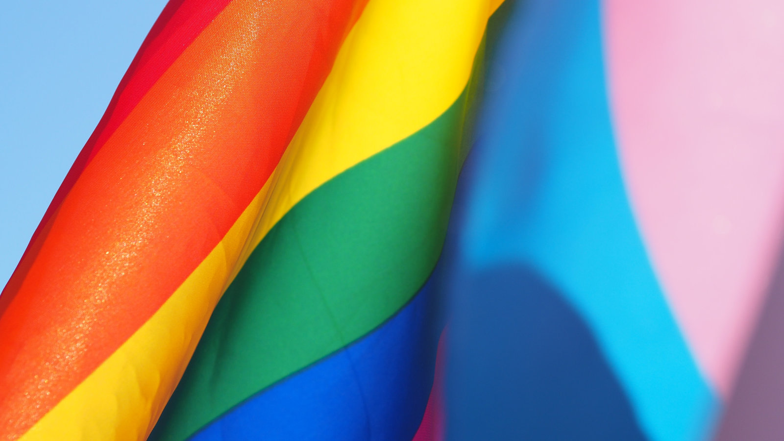 Illustration de l'article sur les couples LGBTQIA+