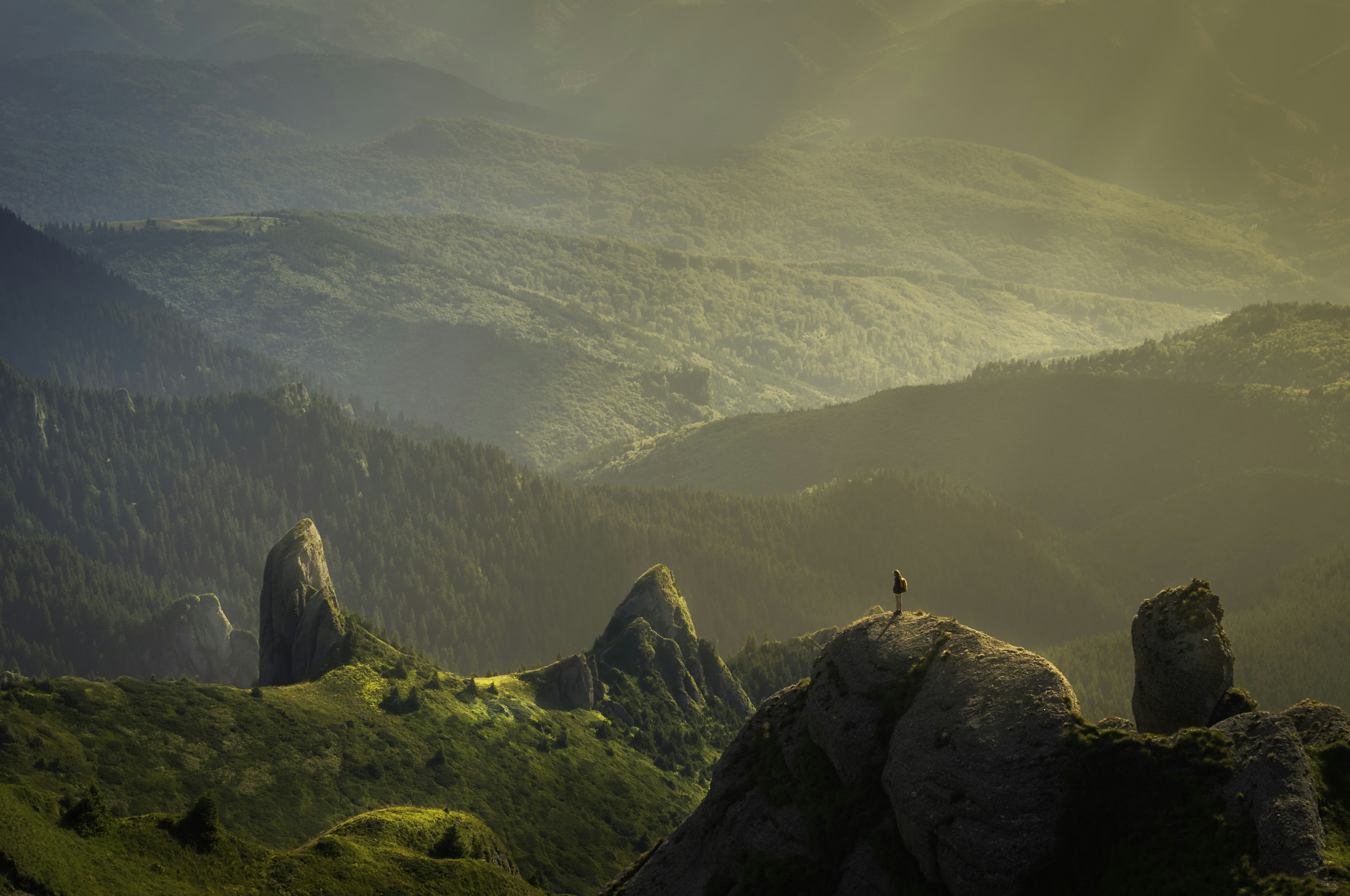 Un paysage vosgien apaisant illustrant la sérénité et le cheminement relationnel