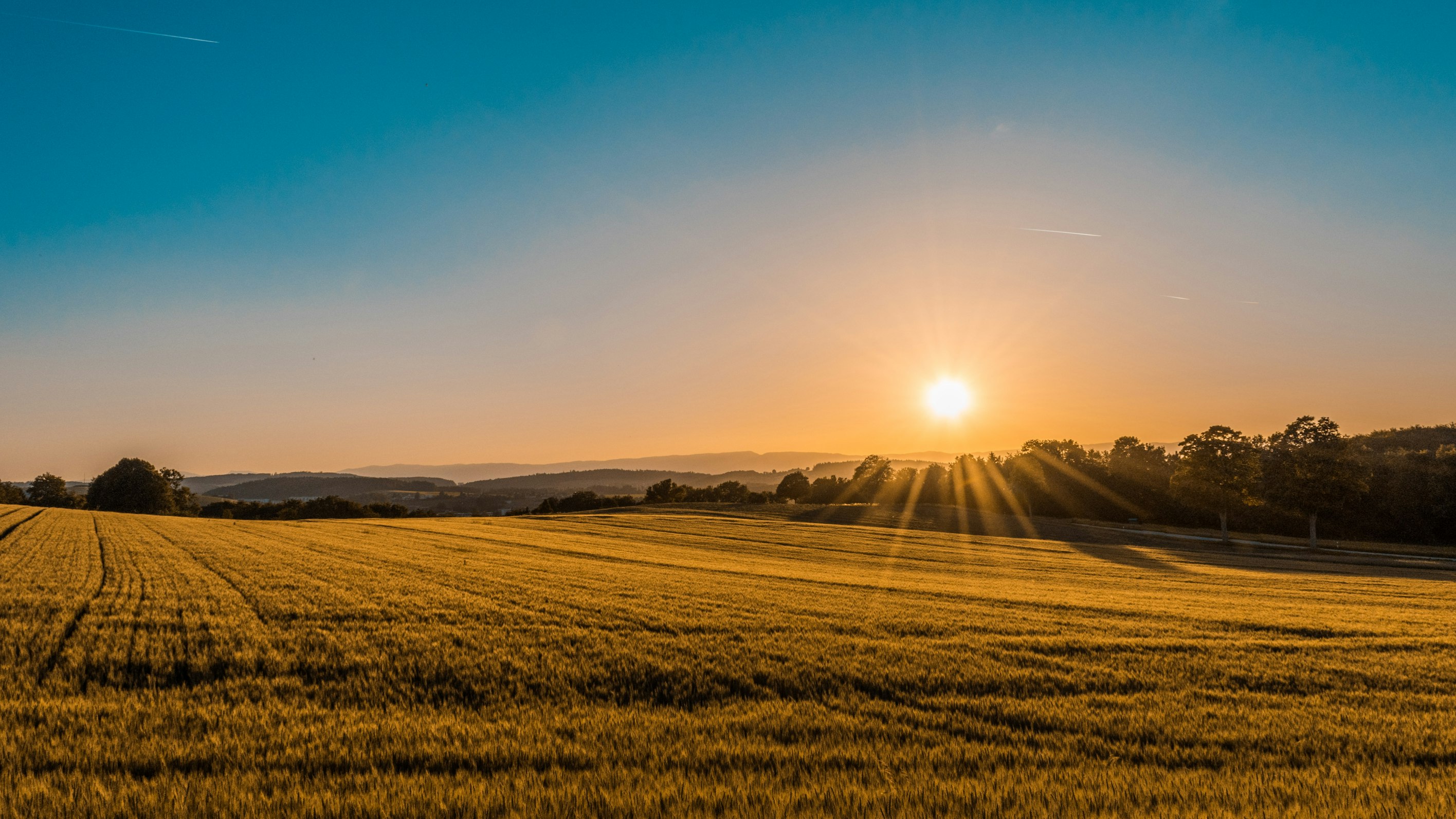 Une personne contemplant l'horizon avec sérénité, représentant l'introspection et l'apaisement